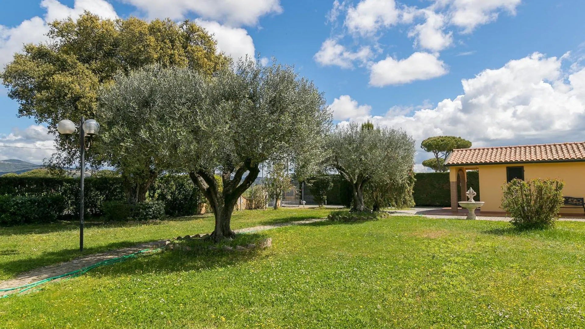 Il Girasole - Uva Villa Venturina Terme Italy